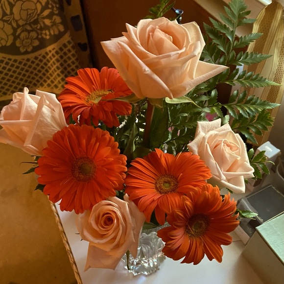 Meet your Posher, Tami - Picture 1 of 1